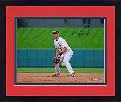 Uokvireni Paul Goldschmidt St. Louis Cardinals Autographed 16 x 20 Fotografija polja - Autografirane MLB fotografije