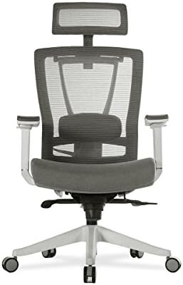 Vrhunska samostojeća ergonomska uredska stolica, mrežasti naslon, srednji, sivi & s dvostrukim motorom, električnim stojećim stolom,