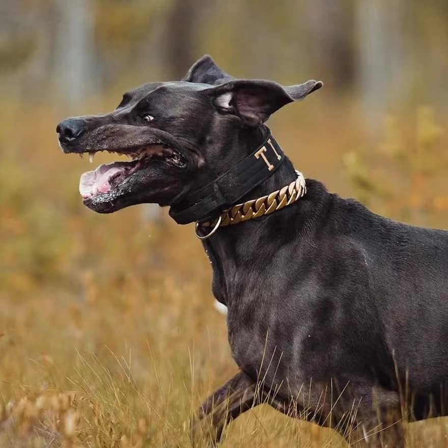 Zlatni pseći ovratnici za velike pse, zlatni lanac debljine 32 mm 18K metalni ogrlica za pseće lance od nehrđajućeg čelika kubanska