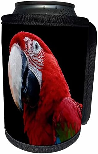 3Drose Bliza zelena krilata Macaw papiga - Omota za hladnjak za hladnjak