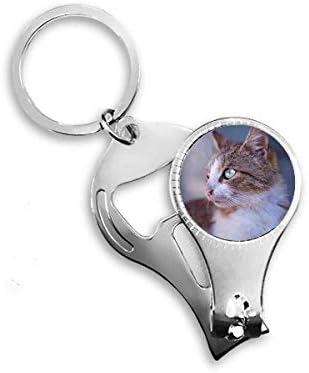 Smeđa mačka životinjski profil divljeg stare noktiju za nokat za nokat ključa za otvarač za bočicu za bočicu